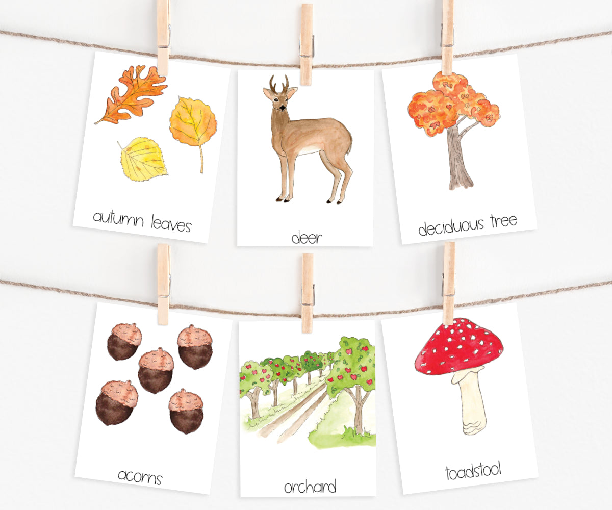 Autumn Collection | Printable