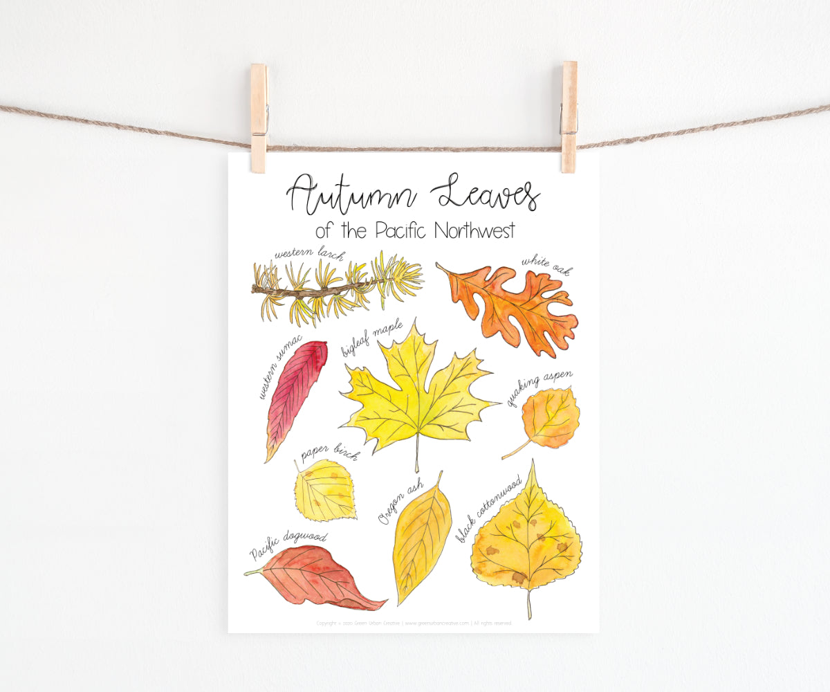 Autumn Collection | Printable