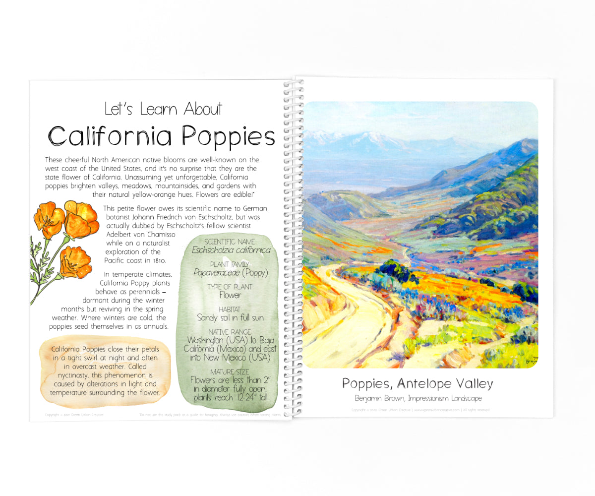 California Poppy Mini Nature Study | Printable