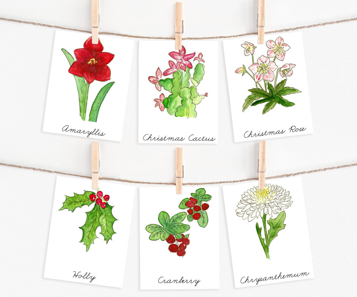 Christmas Flora