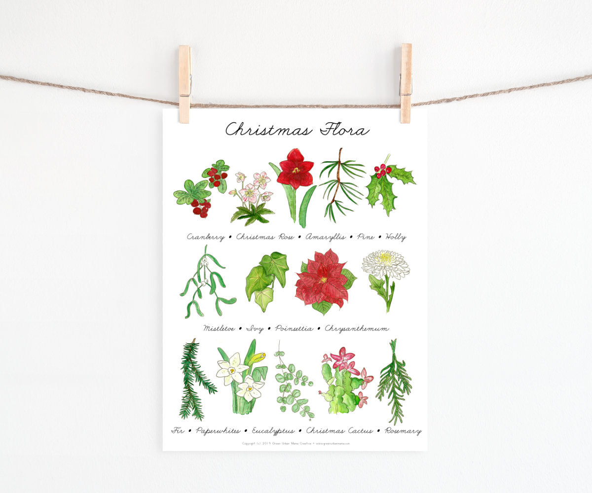 Christmas Flora