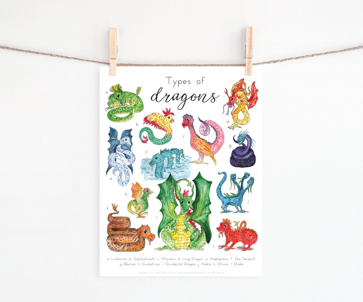 Dragon Flashcards