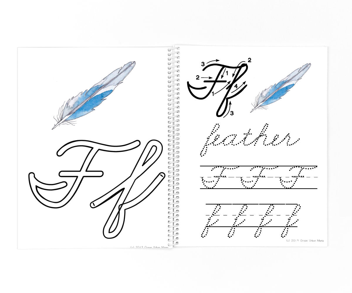 Anatomy of a Feather | Printable