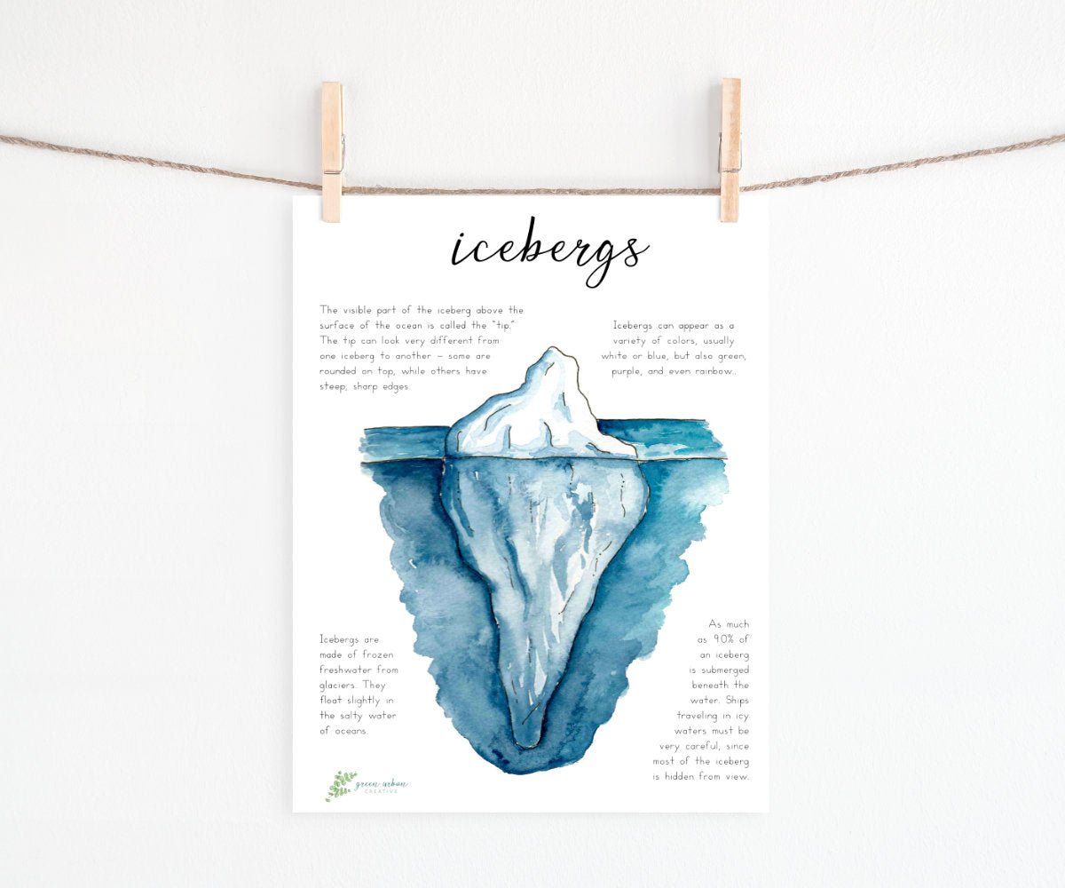 Iceberg Invitation: Unit Study Printables & Flashcards for Homeschool Montessori Curriculum
