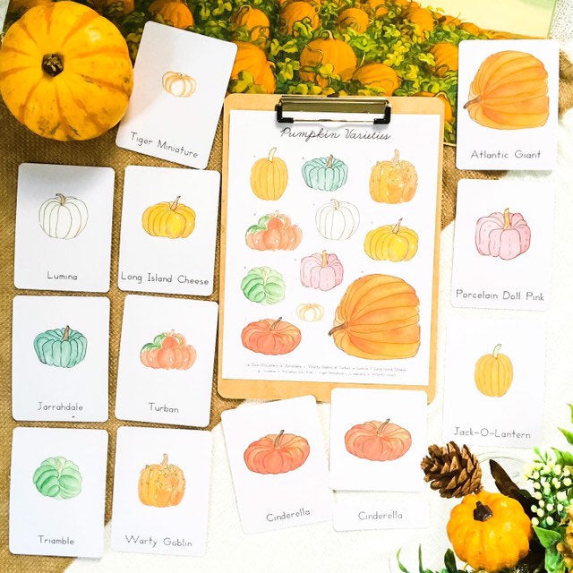 Pumpkin Varieties
