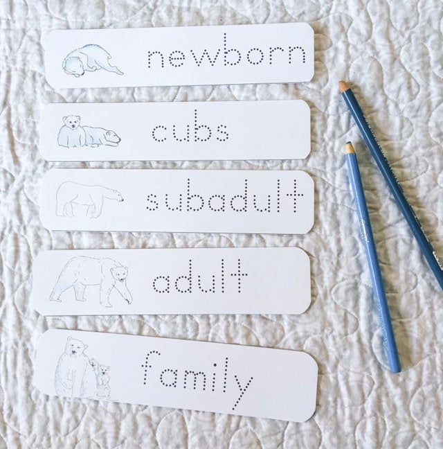 Polar Bear Life Cycle | Montessori Preschool Homeschool Unit Study Printable Curriculum