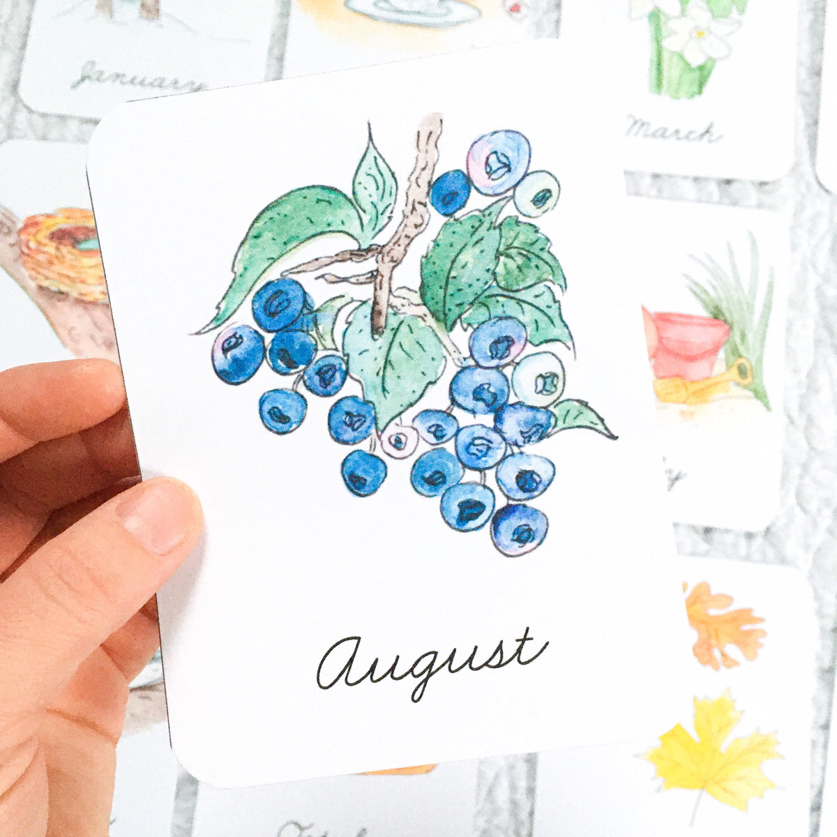 Months of the Year Flashcards | LATIN