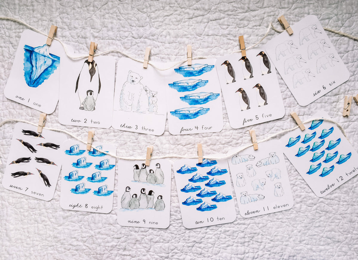 Polar Seas Counting Cards | Preschool Homeschool Montessori printable
