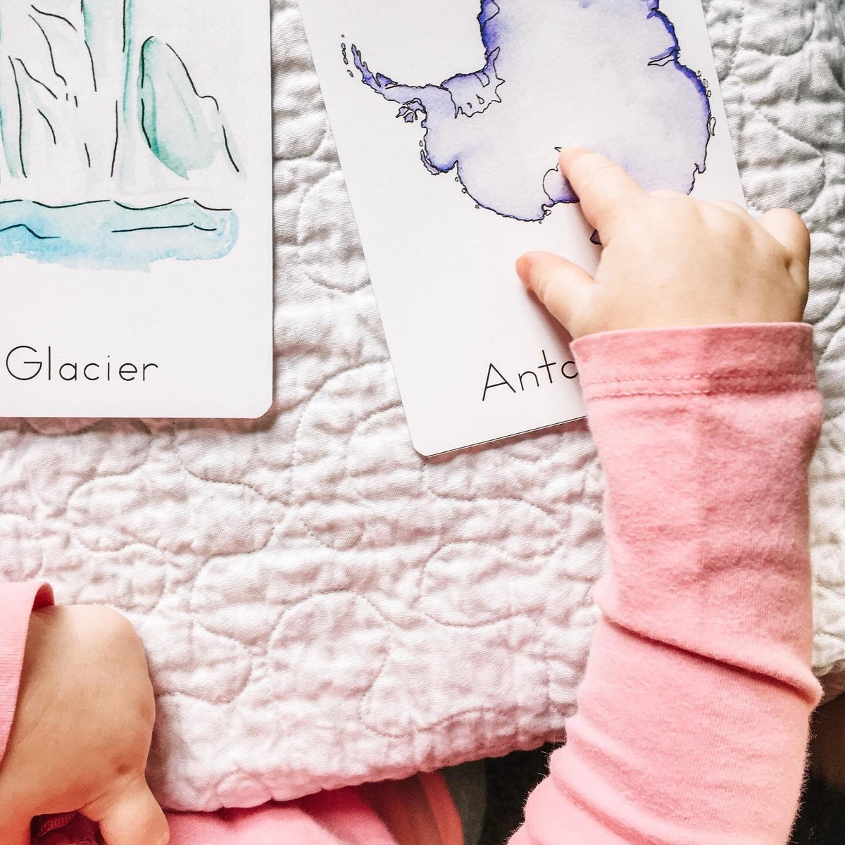 Iceberg Invitation: Unit Study Printables & Flashcards for Homeschool Montessori Curriculum
