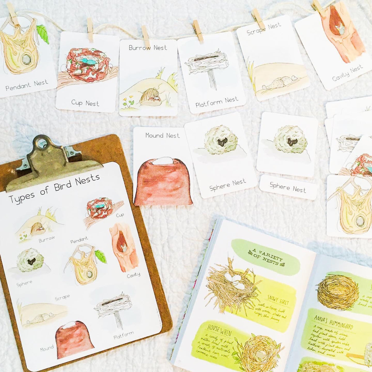 Bird Nests | Printable