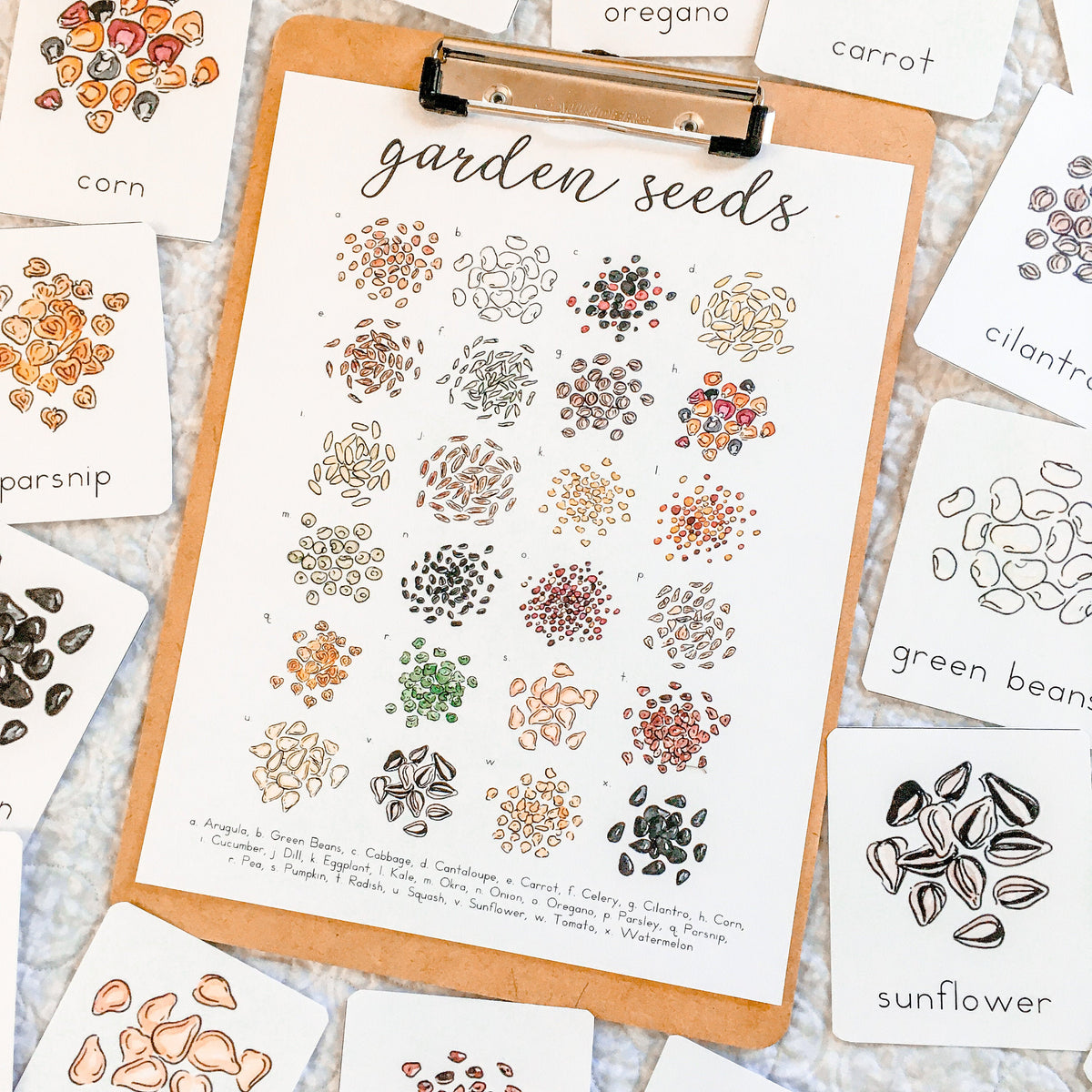 Garden Seeds Flashcards | Printable