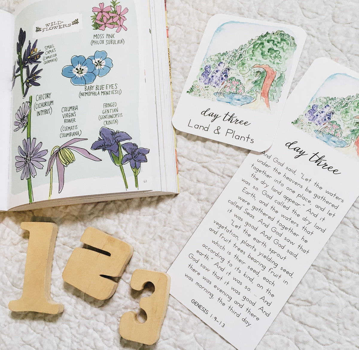 Days of Creation: Scripture Story Cards | Digital Download Version