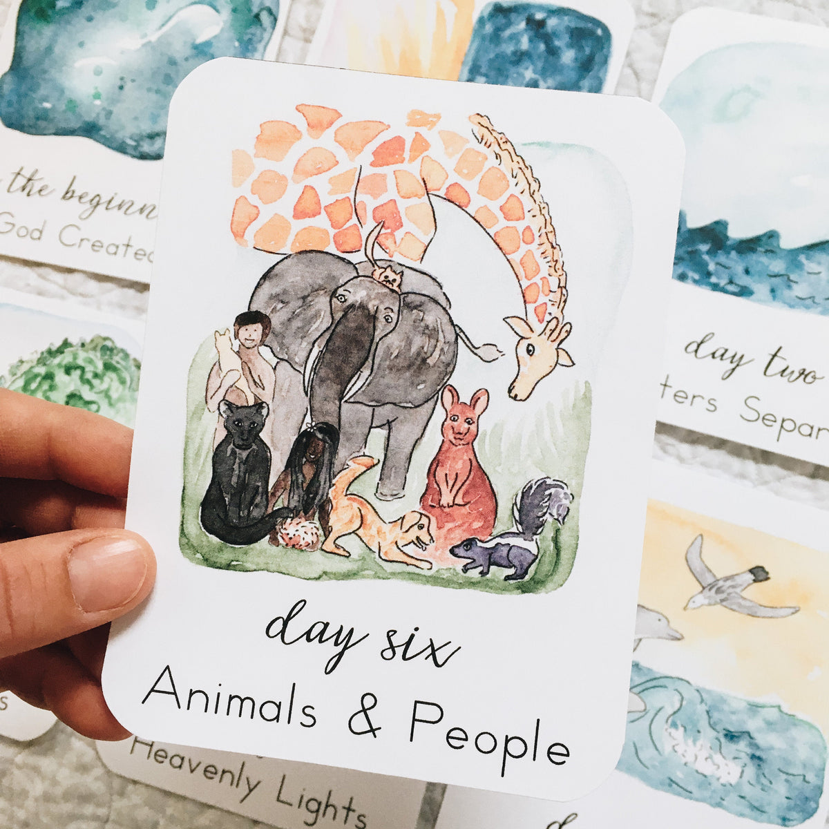 Days of Creation: Scripture Story Cards | Digital Download Version