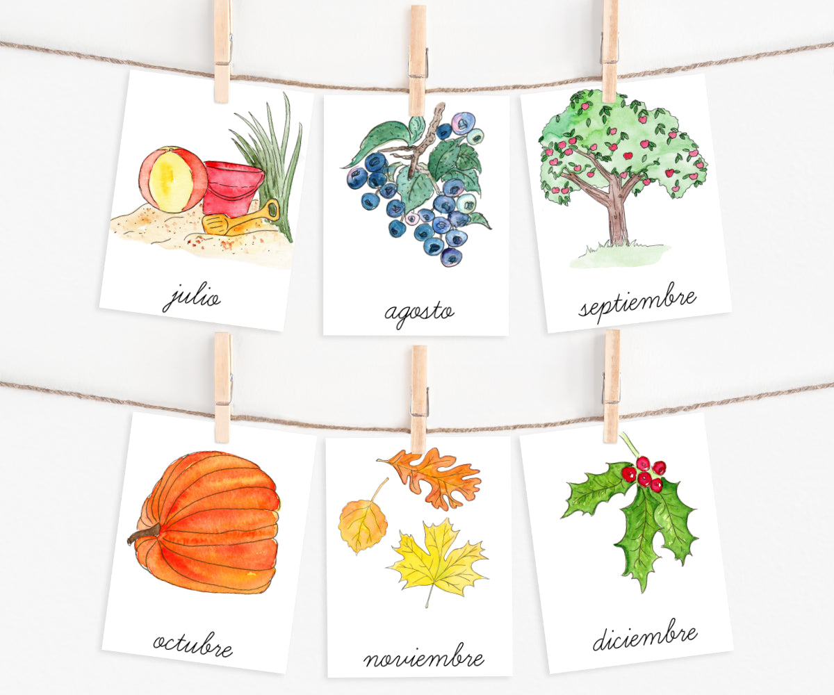 Months of the Year in Spanish | Printable