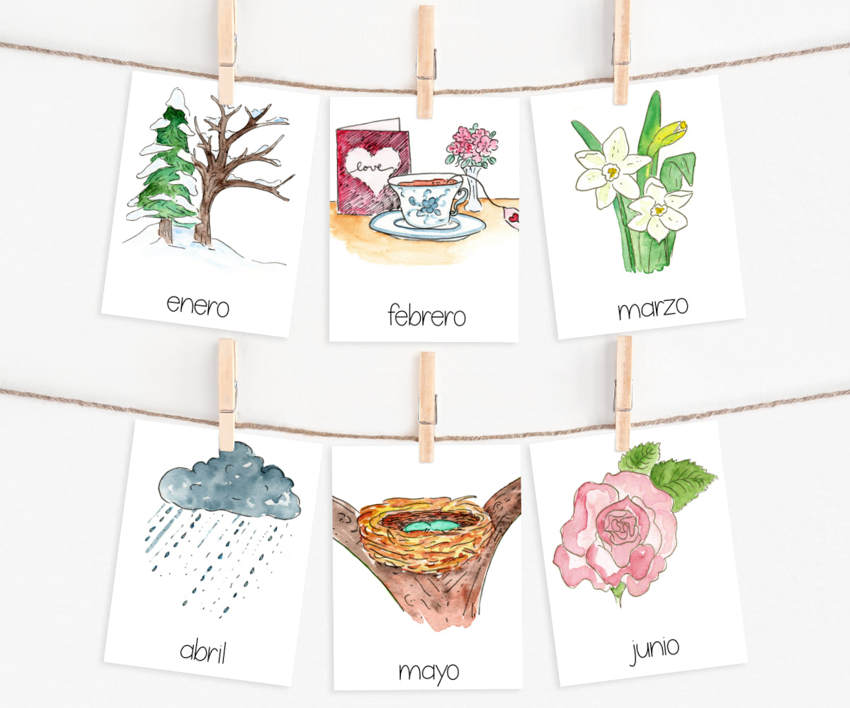 Months of the Year in Spanish | Printable