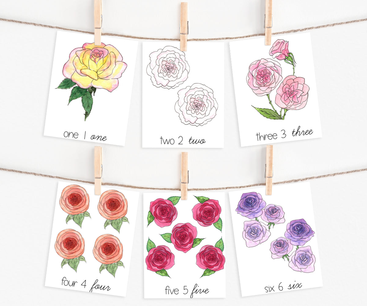 Rose Counting Cards