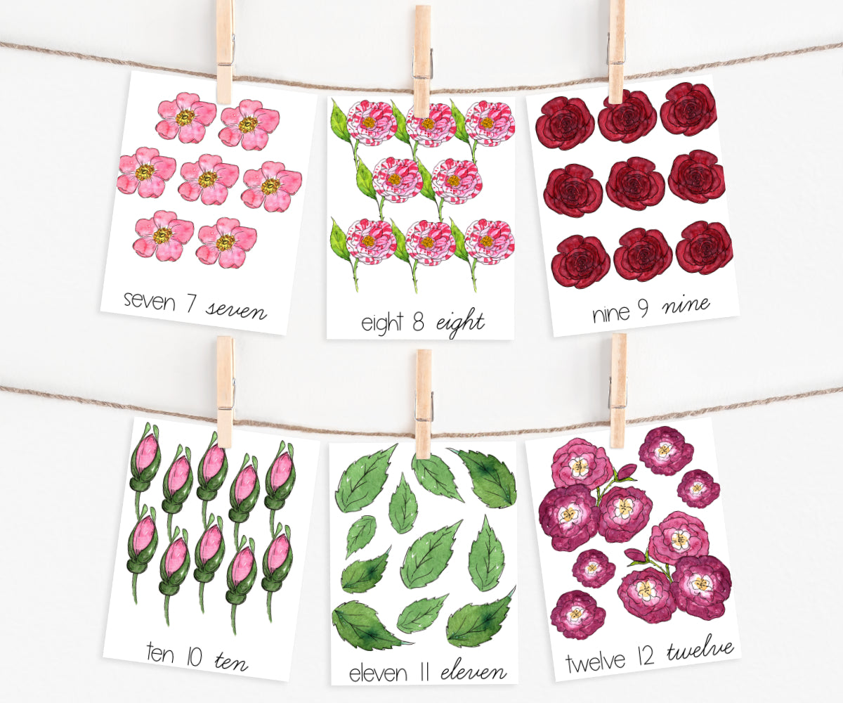 Rose Counting Cards
