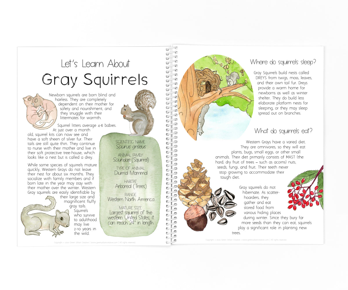Autumn Collection | Printable