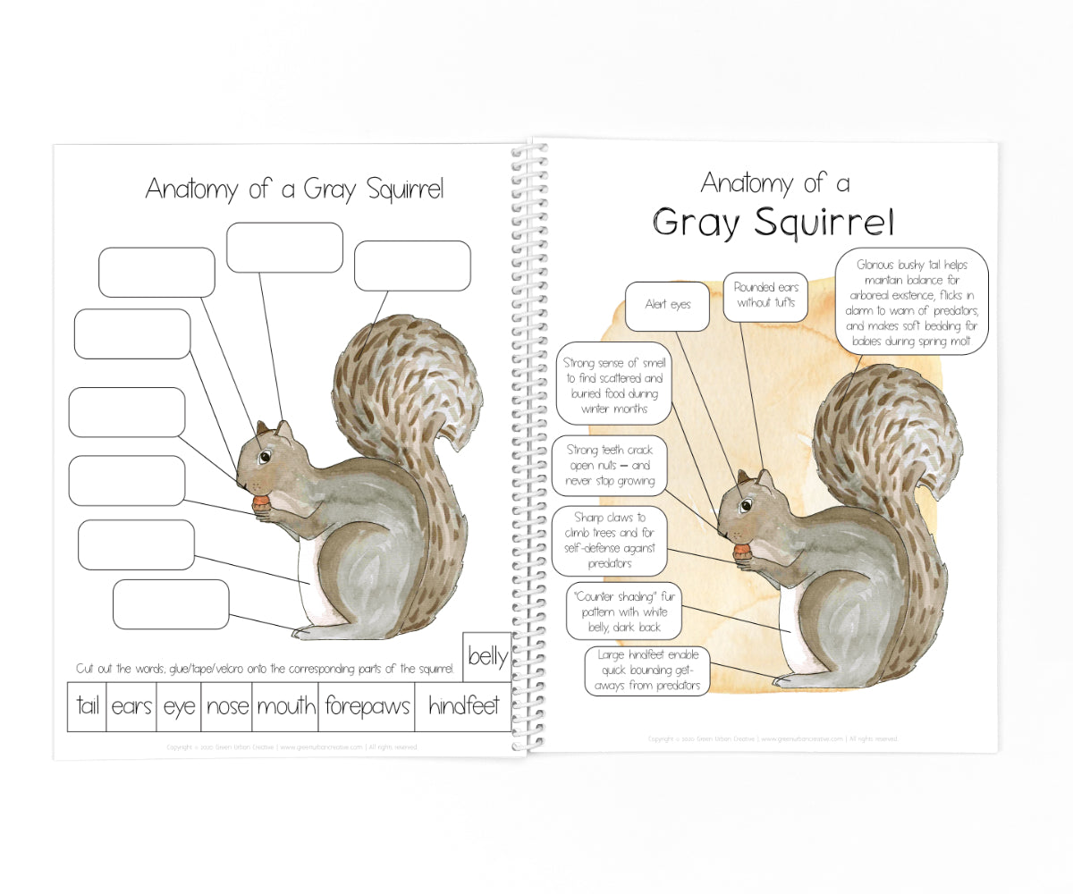 Autumn Collection | Printable