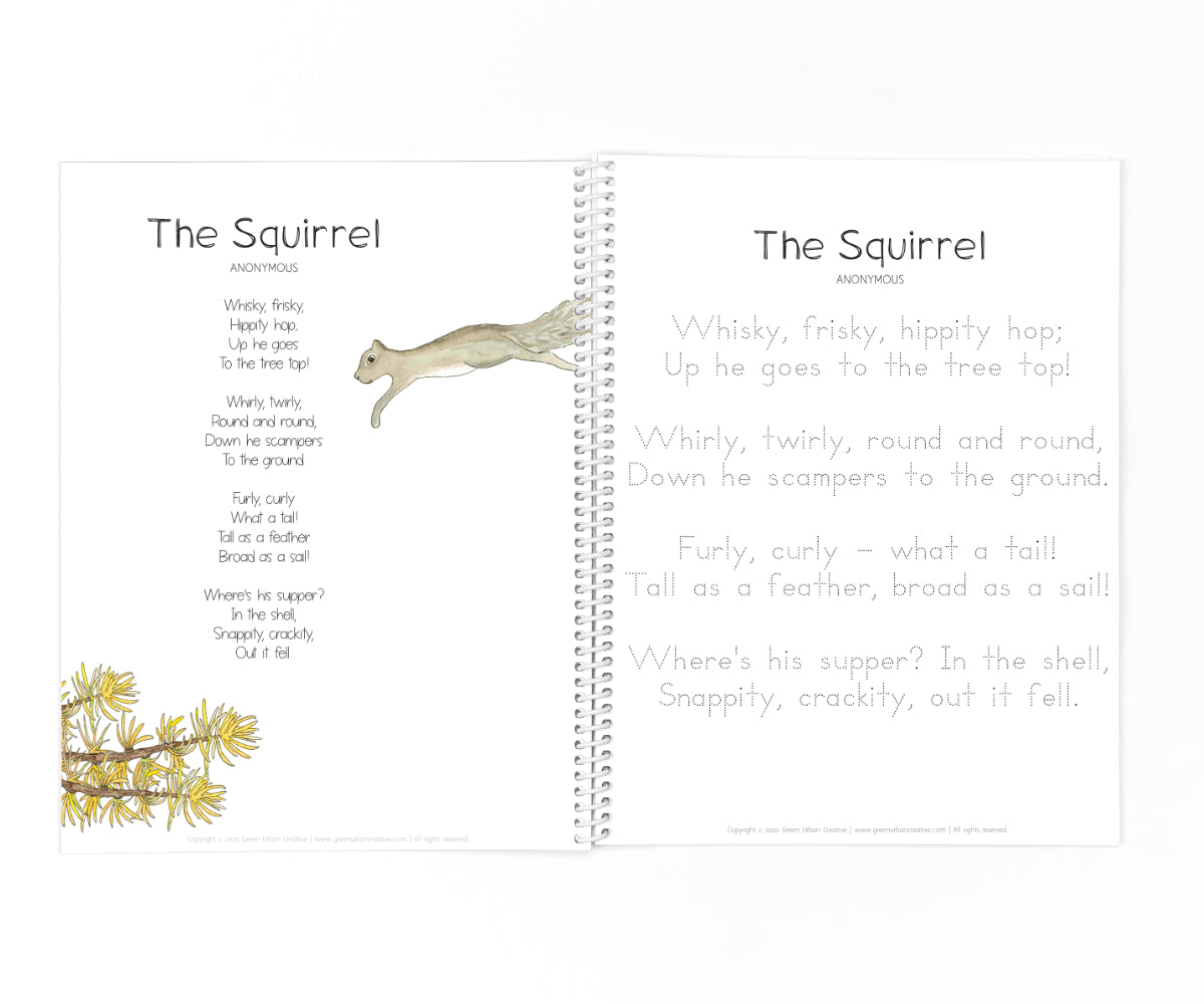 Autumn Collection | Printable
