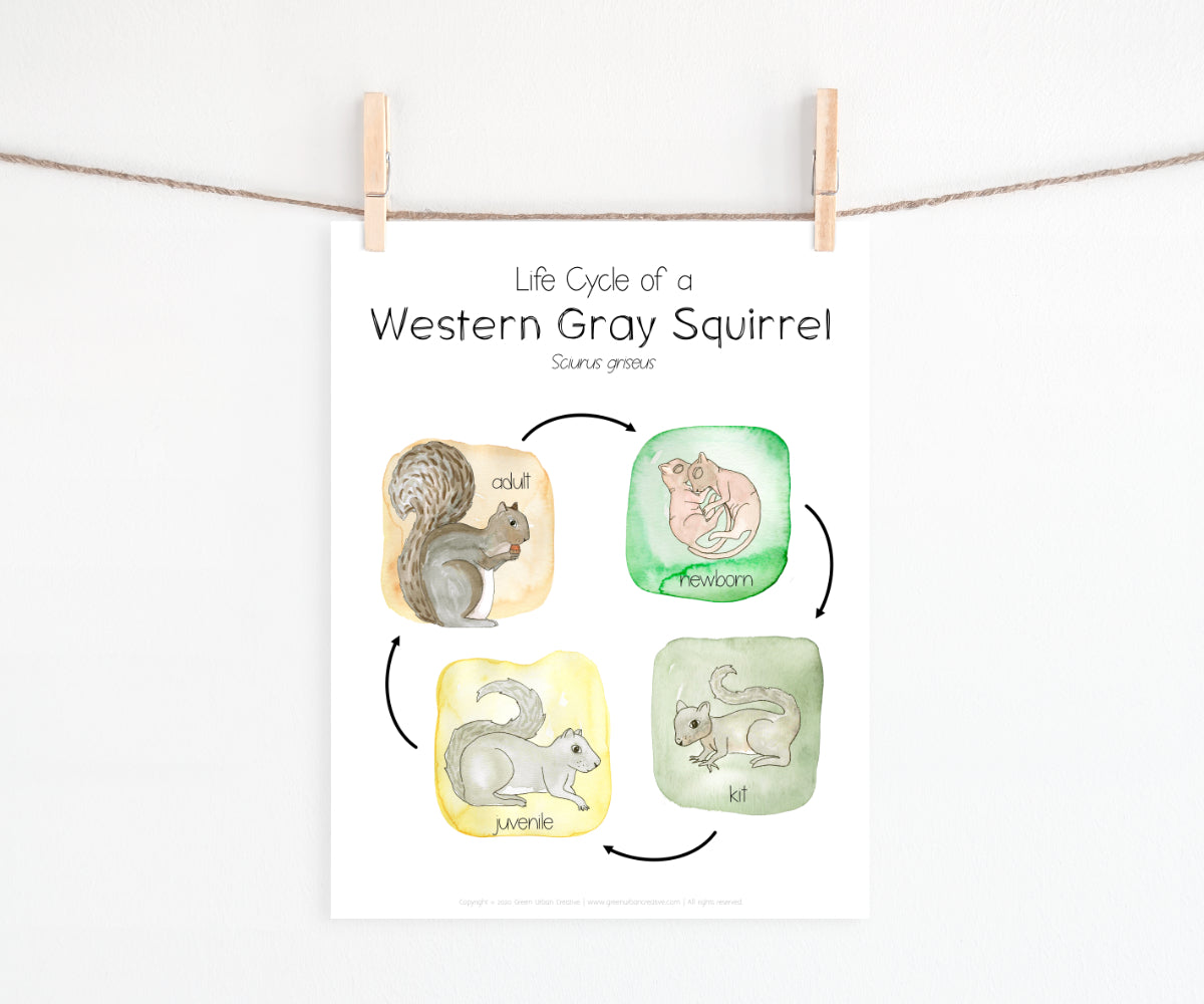 Autumn Collection | Printable