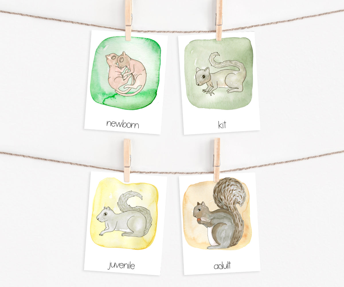 Autumn Collection | Printable