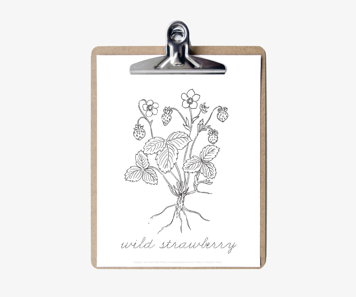 Strawberry Life Cycle | Printable
