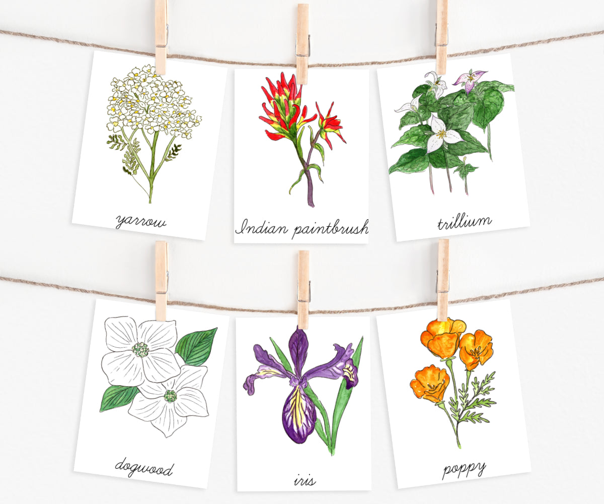 Wildflowers of the Pacific Northwest | Printable
