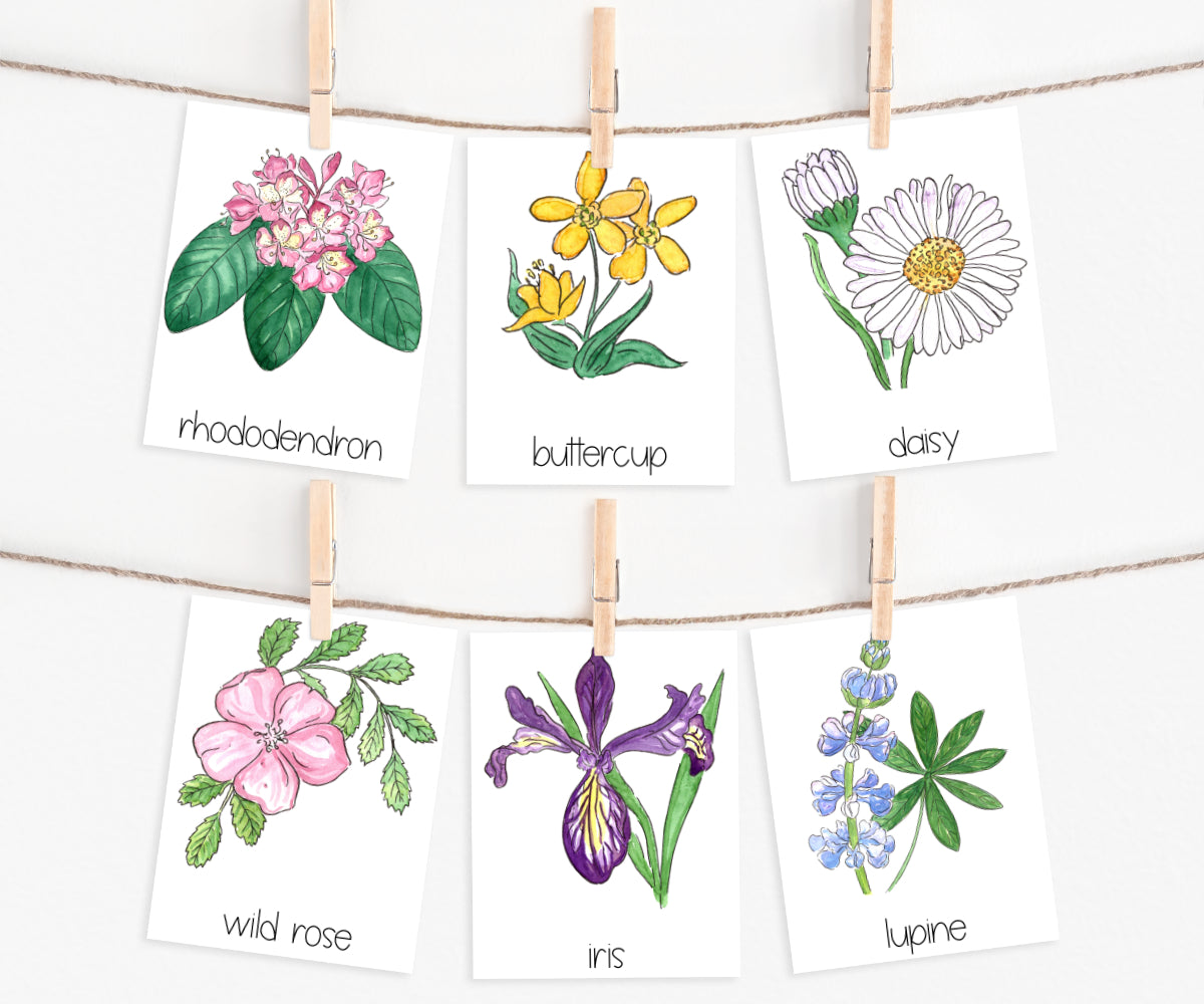 Wildflowers of the Pacific Northwest | Printable