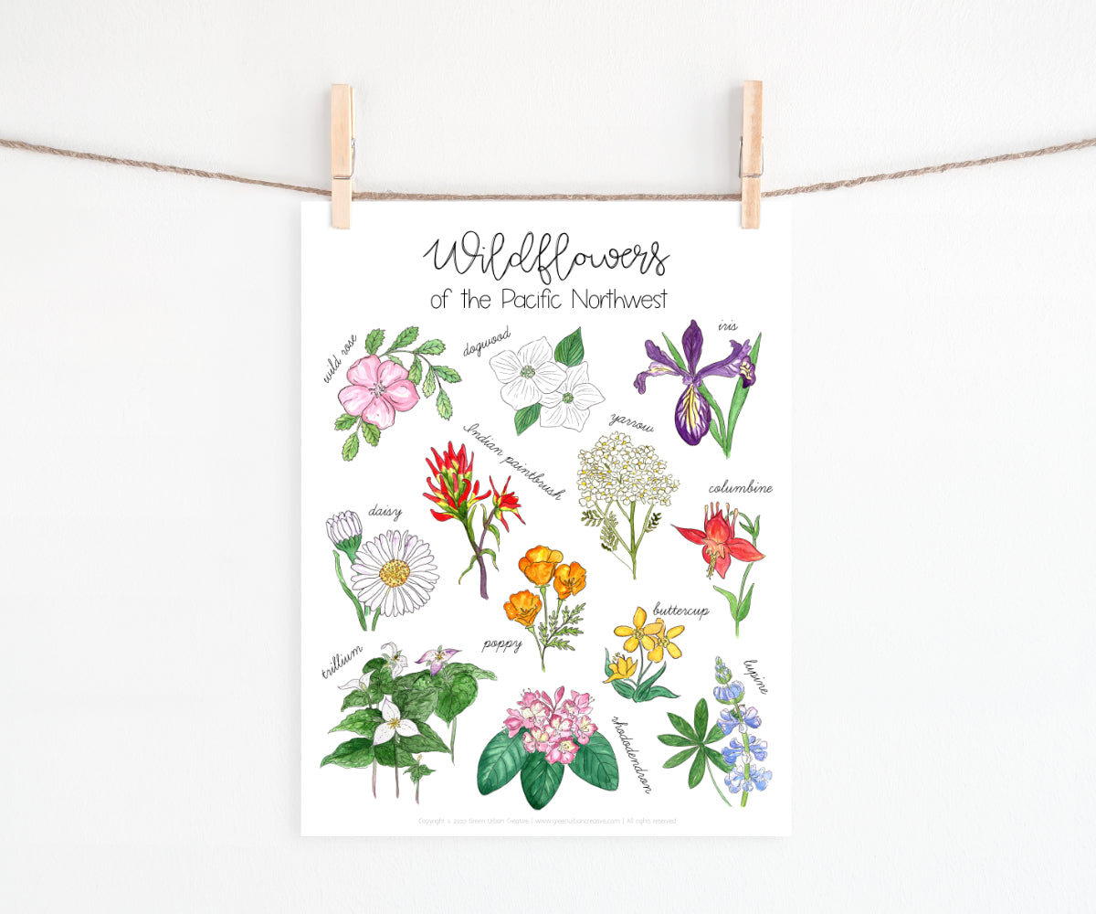 Wildflowers of the Pacific Northwest | Printable