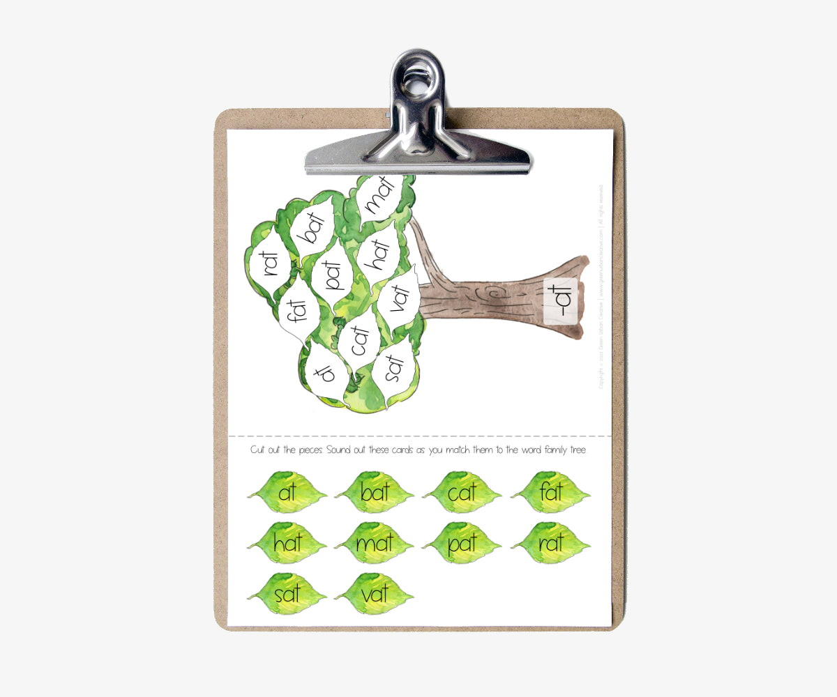 Short Vowel CVC Word Families Activities