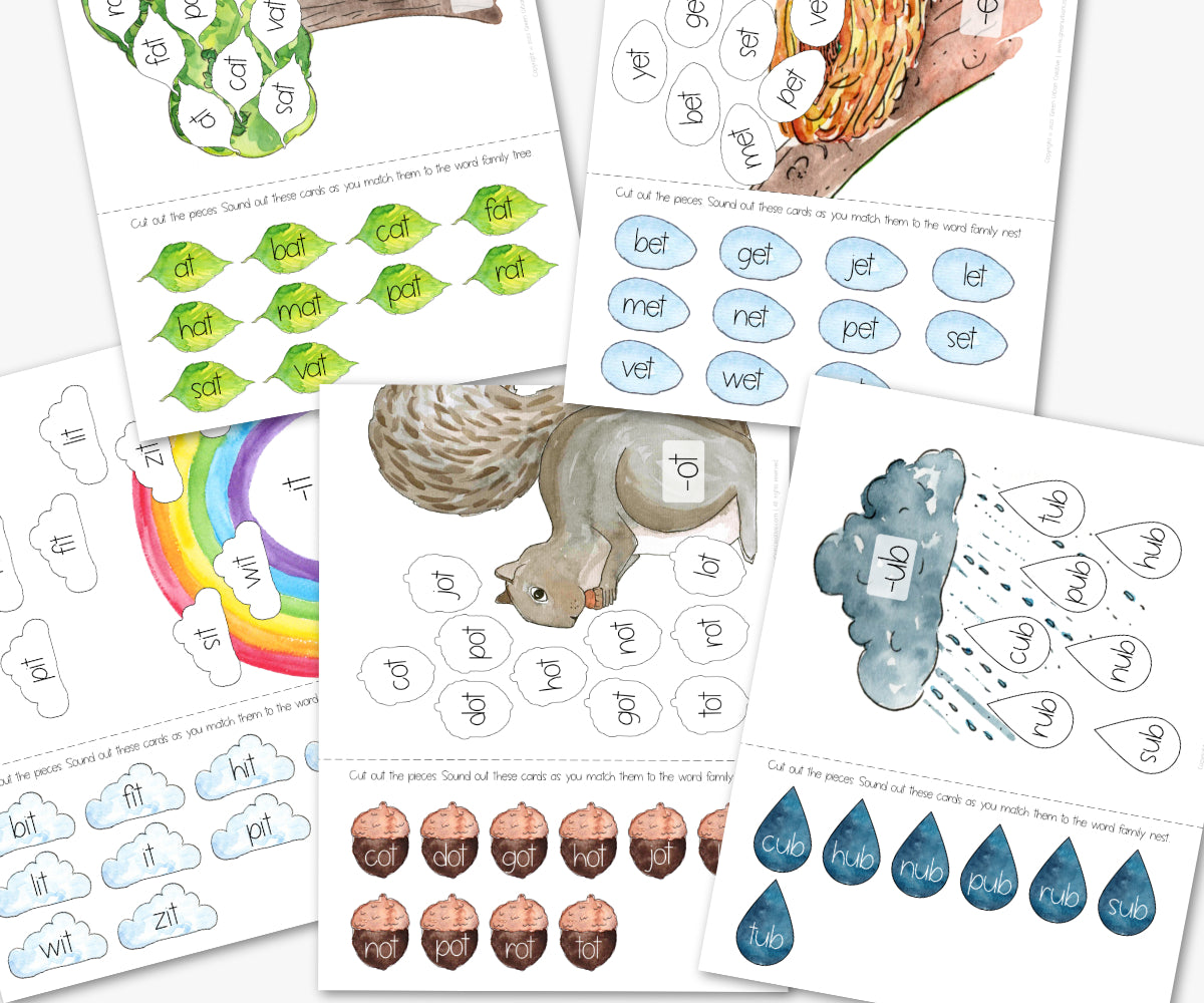 Short Vowel CVC Word Families Activities